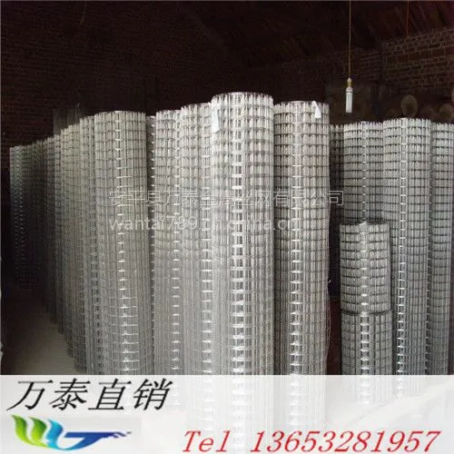 �ȶ�п������ 2/1�׵纸������ ���������۸�