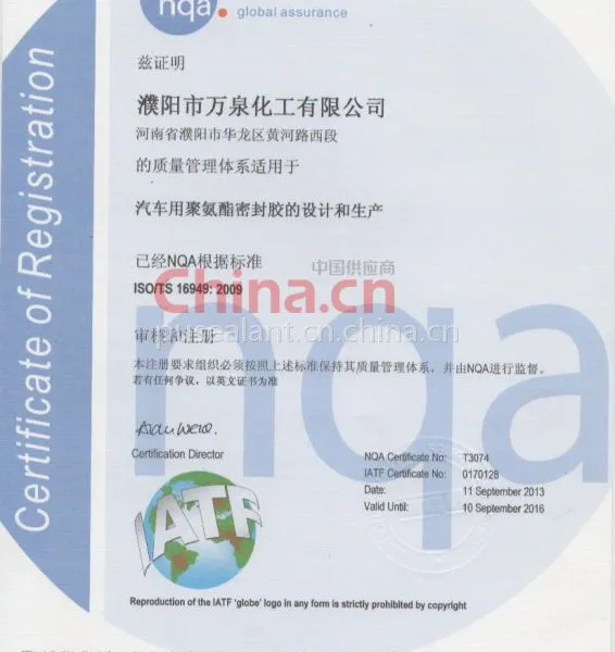 ISO/TS16949;2009