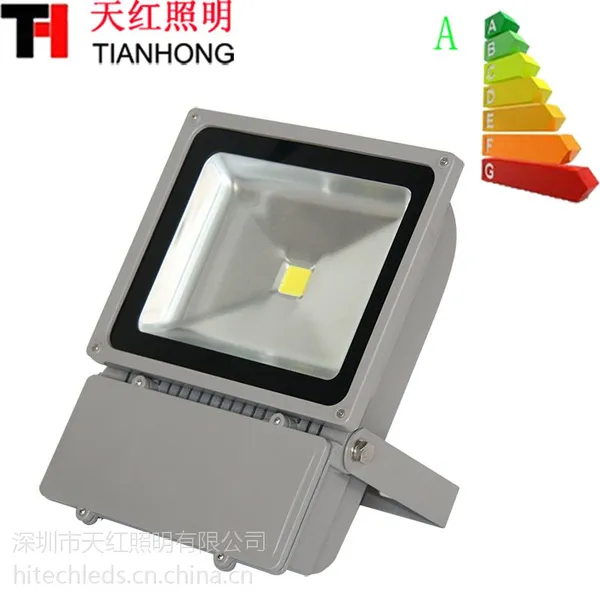 LED投光灯100W LED泛光灯AC220V