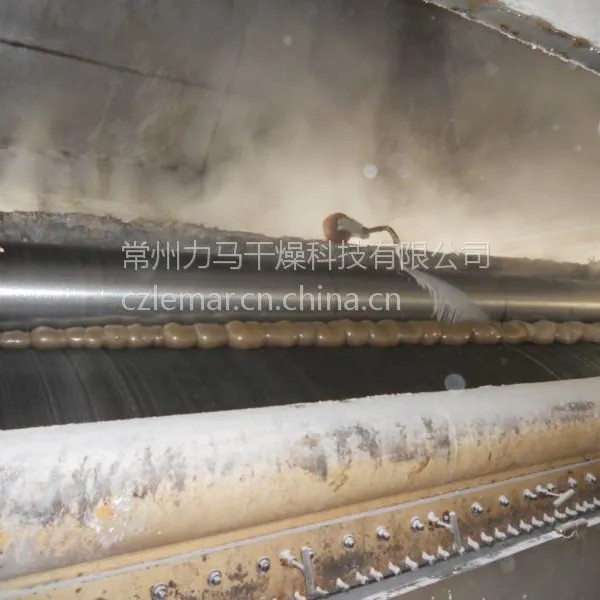 常州力马-双滚筒刮板干燥机玉米淀粉乳液400Kg/H、刮板切片机规格