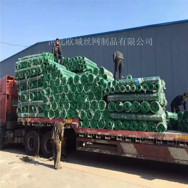 优质包塑荷兰网 铁丝网围栏 防护铁丝网安平厂家生产