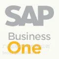 SAP business one-��С����ҵ����ERP_���ݴ��