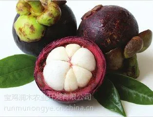 宝鸡润木 供应 山竹果粉厂家 100%水溶 货真价实