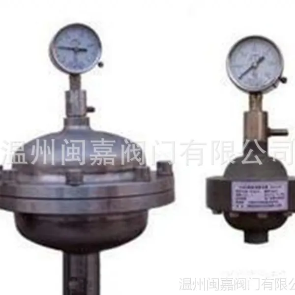 膜片式脉动阻尼器 32mm 1L 计量泵附件 隔膜式脉冲阻尼器 阻尼器
