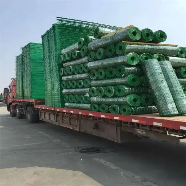 ��̩������ Χ���� ��ֳ��