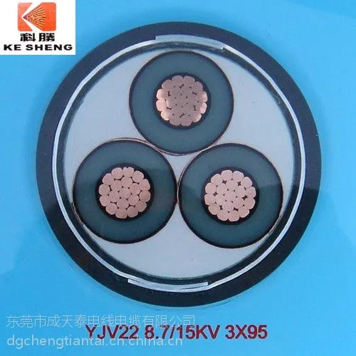 VV5*10mm2 国标 成天泰科胜电缆 厂家18825566884