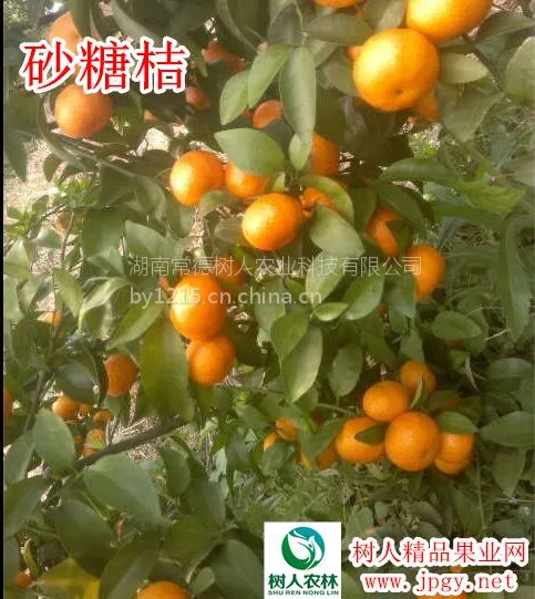 ���˹�˾ֱ��ɰ�ǽ� �����޲���ɰ������ 30��70����һ�����޽���