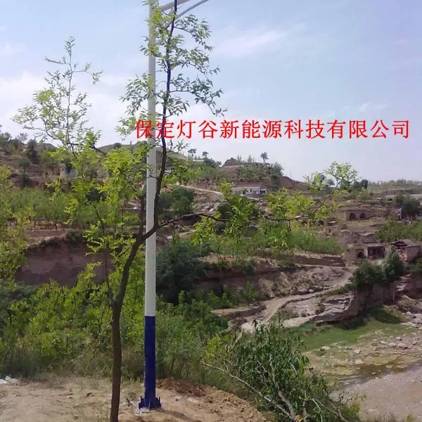 厂家直销DGT-20W邢台太阳能路灯,户外照明灯,价格优惠