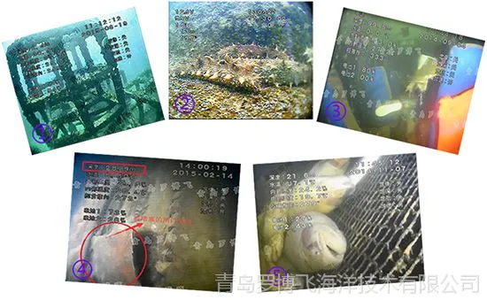 网箱养鱼观测,海参池观察手持式水下摄像机1080P高清视频效果