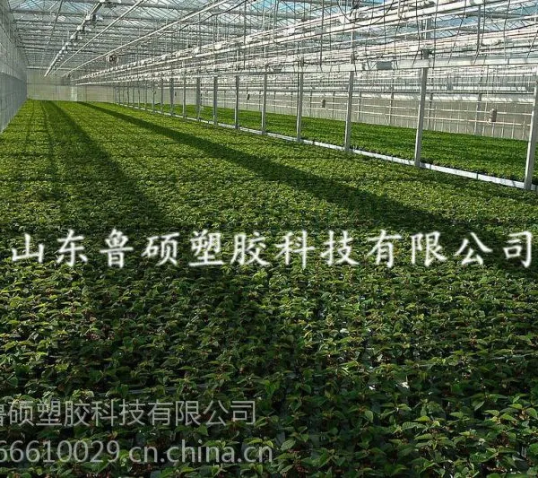 淄博张店、淄川阳光板 淄博阳光板温室工程 保温隔热效果好