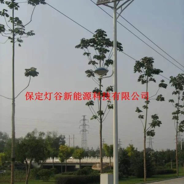 承德太阳能路灯,新农村建设厂家直销