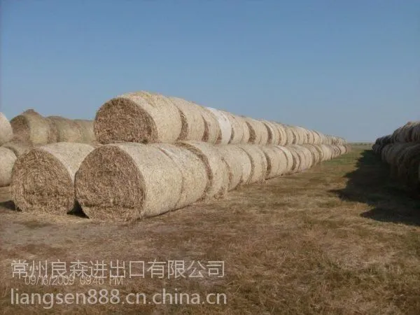 厂家优惠供应沃得打包机适用打包网