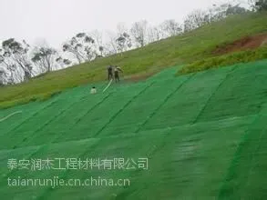 植草护坡专用三维植被网垫-18605480055