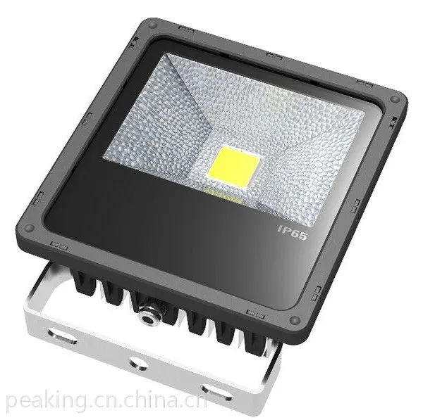 铝制鳍片30W LED投光灯