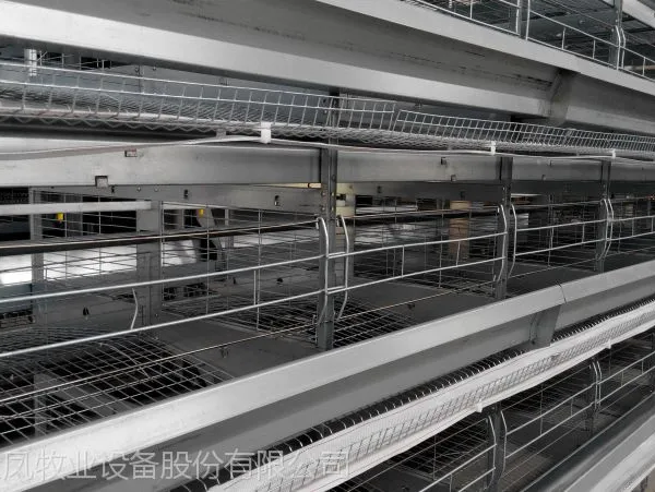 高品质层叠式蛋鸡笼热镀锌蛋鸡笼河南金凤直销