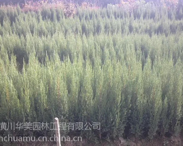 ���깩Ӧ��ӣ3������ӣ�۸�5������ӣ�۸�8������ӣ�۸�10������ӣ�۸�ӣ���ϳ���ӣ������˦��
