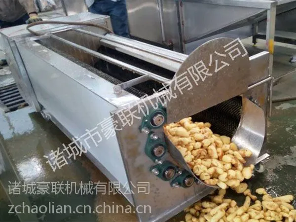 供应豪联牌毛辊式萝卜清洗机洗白萝卜清洗机不伤表皮干净省水