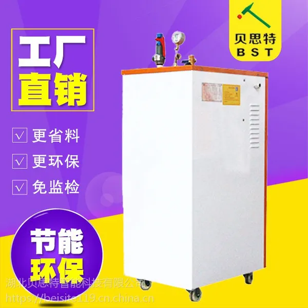 湖北贝思特12公斤款全自动电加热汽车清洗蒸汽发生器厂家直销环保免检产品
