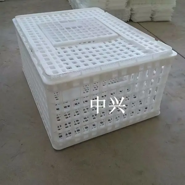 厂家批发塑料成鸡周转箱 青年运鸡筐 大鸡筐 鸡鸭鹅周转筐