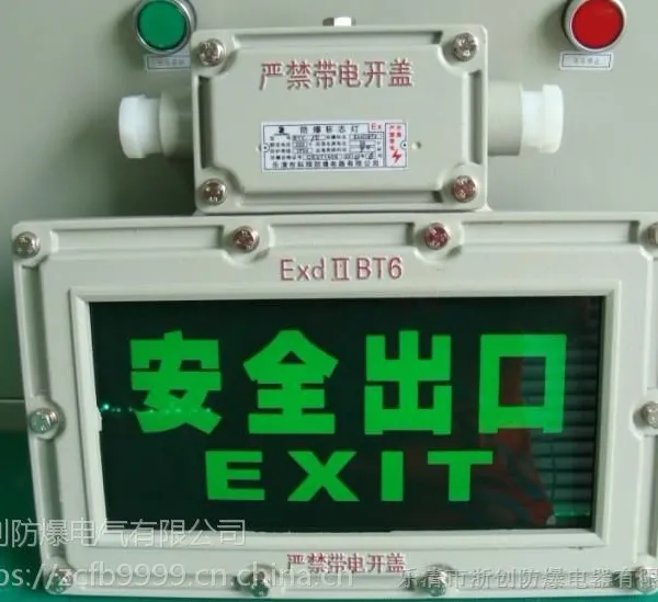 BAYD51防爆标志灯
