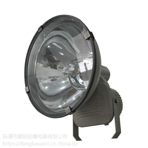 ZT6900防水防尘防震高亮度投光灯
