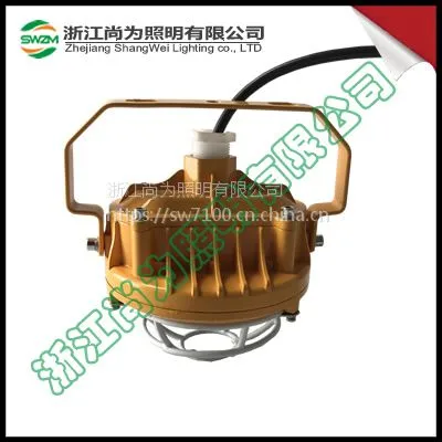 SW7152防爆LED泛光灯_尚为SW7152照明灯20/30/40W