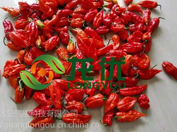 龙优工业辣椒烘干机设备 工业辣椒烘干机
