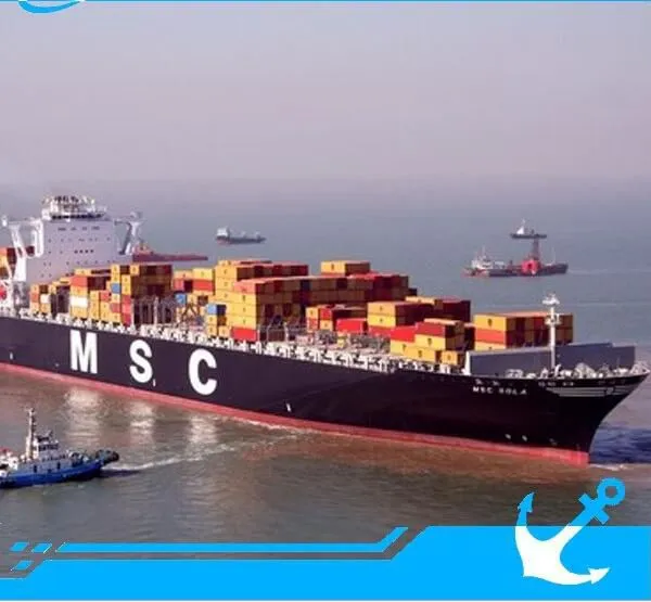 DHL�����ô����,��Ҫ��ô�� ˽�����庣�˼Ҿߵ����޻���������