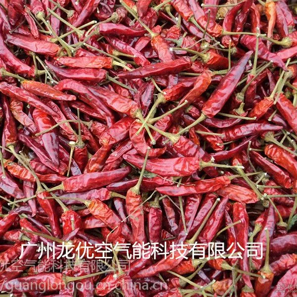 龙优辣椒烘干机设备 智能辣椒烘干机