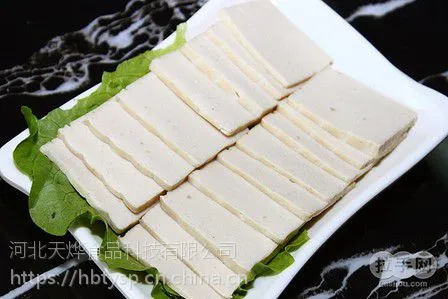河北天烨食品科技线下供应千页豆腐生产新技术设备咨询
