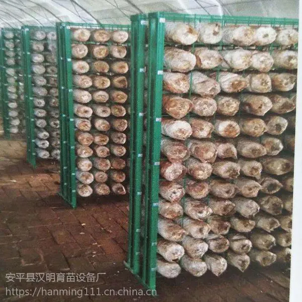 蘑菇架制造商-优质食用菌网片-支持定做