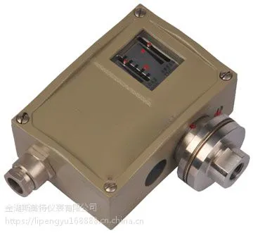 D500/7D压力控制器