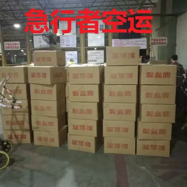 供应广州到新加坡空运