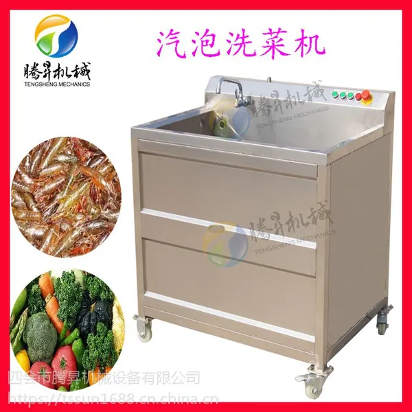 腾昇供应 单缸智能洗菜机 全自动洗菜机 蔬菜清洗机