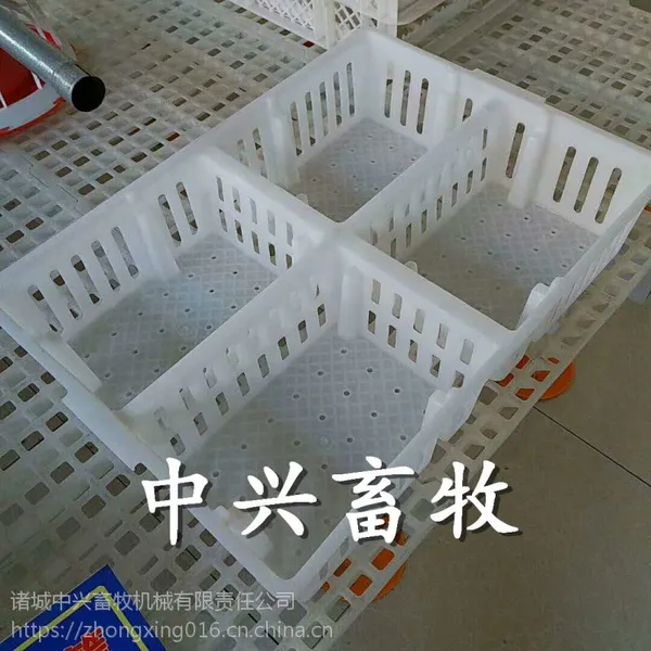 不变形鸡苗箱 鸡苗周转箱 小鸡运输箱批发