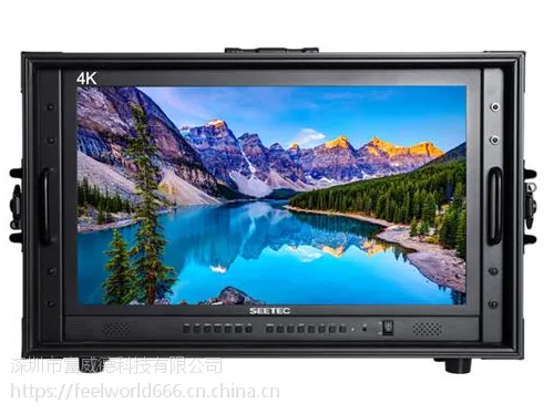 SEETEC 23.8