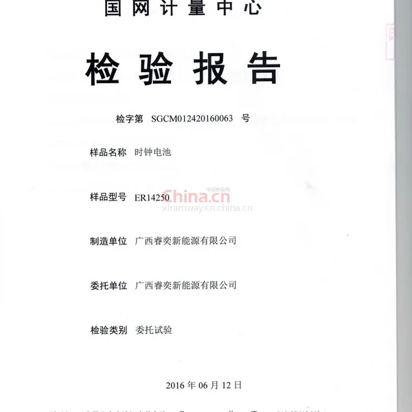 国网检测报告