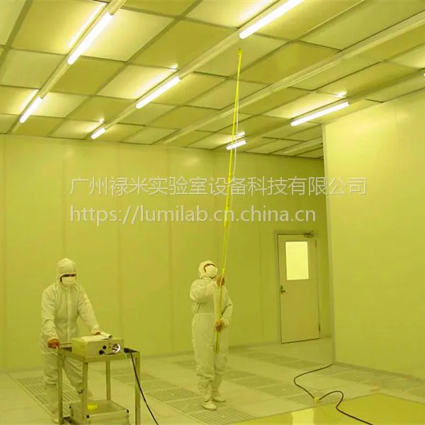 百级洁净厂房装修设计施工案例 广州百级洁净厂房工程公司方案 禄米科技