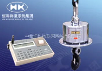 恒科ORS系列热态电子吊秤