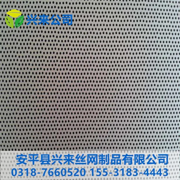 筛板冲孔网 冲孔网生产 穿孔铁板