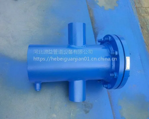河北蓝式过滤器源益牌提蓝式过滤器DN250
