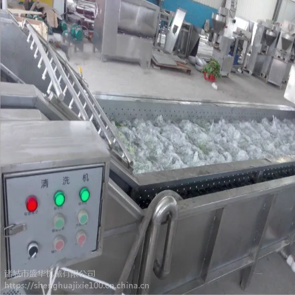 盛华蔬菜水果加工整套设备 果蔬清洗风干线 不锈钢食品机械洗果机