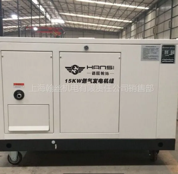 15KW汽油发电机价格厂家批发HS15GFJ