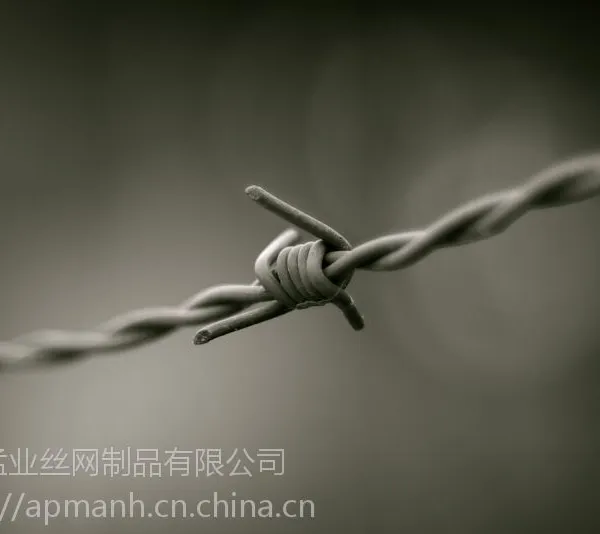 ����ҵ�������Ĵ�����������޼������Ǯһ�ף�����޼����������˿���̹� ������������