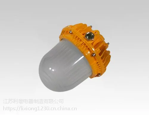 GCD8870 LED防爆平台灯 仓库化工车间用led防爆投泛光灯