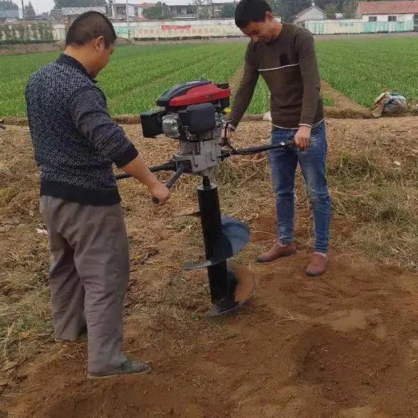 ������ֲ�ڿӻ� ���˺Ͻ���ͷ���ۻ� ֲ���ڿӻ����Ҽ۸�