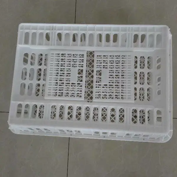 椭圆形鸡鸭运输筐 推拉门塑料鸡笼 成鸡周转筐