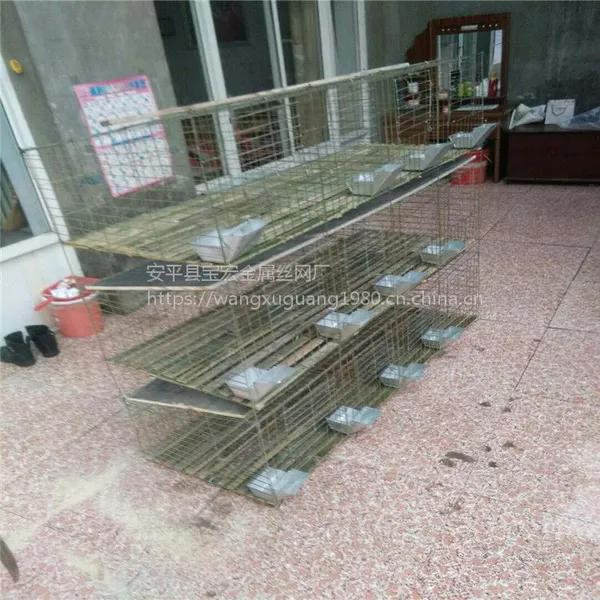 ���Զ���ˮ����12λ�������� ��ƽ������ֳ���۸�