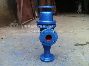 SPB100水喷射真空泵