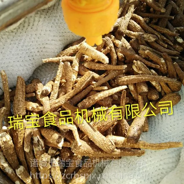 瑞宝 毛辊清洗机 紫薯去泥清洗机 红参清洗设备